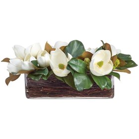 Magnolias in Glass Vase