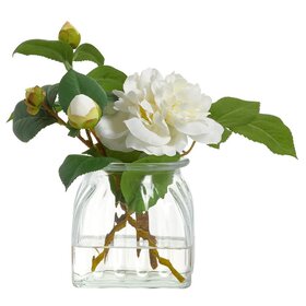 Camellia in Glass Vase