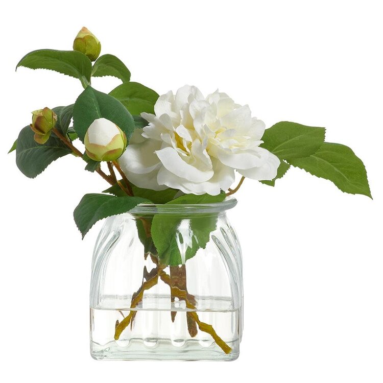 Camellia in Glass Vase