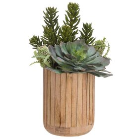 Succulent Mix in Wood Planter