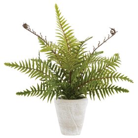 14" Soft PE Boston Fern