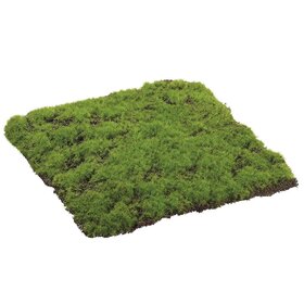 Square Moss Sheet