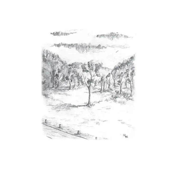 A Look At Life from A Deer Stand