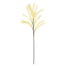 Pampas Stem