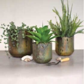 Rustic Verdigris Iron Planter, Medium