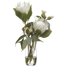 21" Protea/Eucalyptus/Wolly in Vase