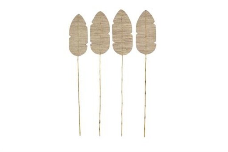 Brown Dried Bamboo Natural Foliage