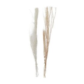 Coastal Natural Foliage