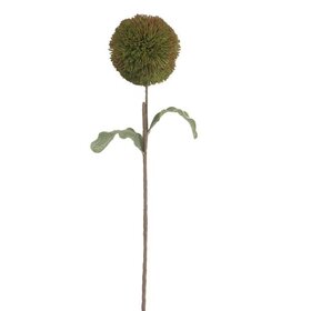 Botanica #3620