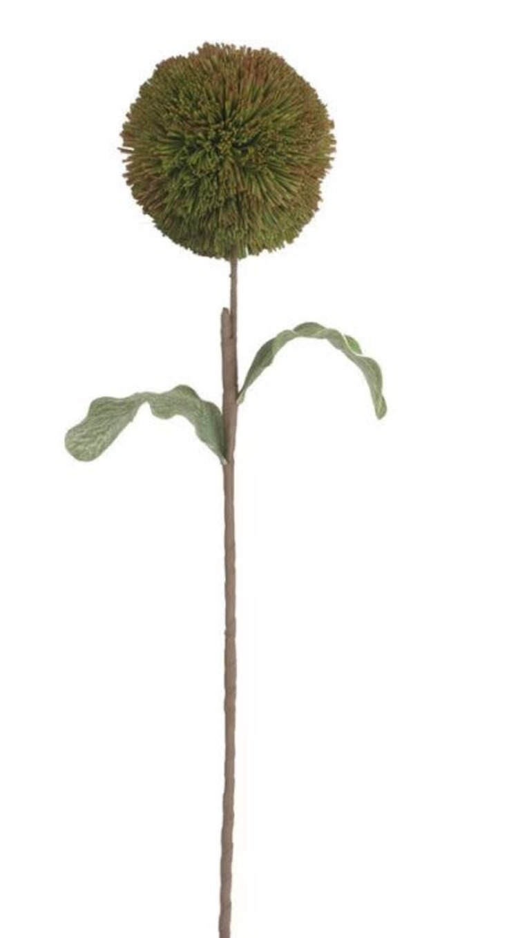 Botanica #3620
