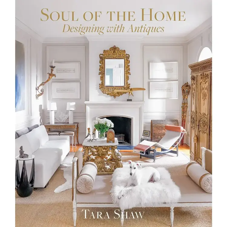 Abrams Soul of the Home
