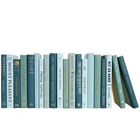 Booth & Williams Decorative Blue Books By the Foot - Gulf Coast (priced per piece)