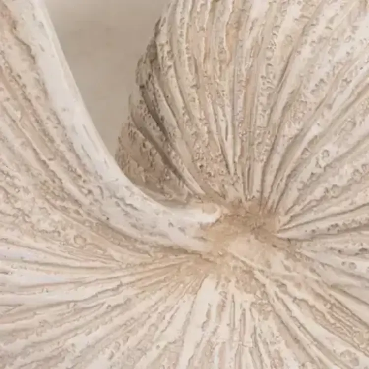 Sagebrook Home Ivory Resin Textured Solid Coastal Shell