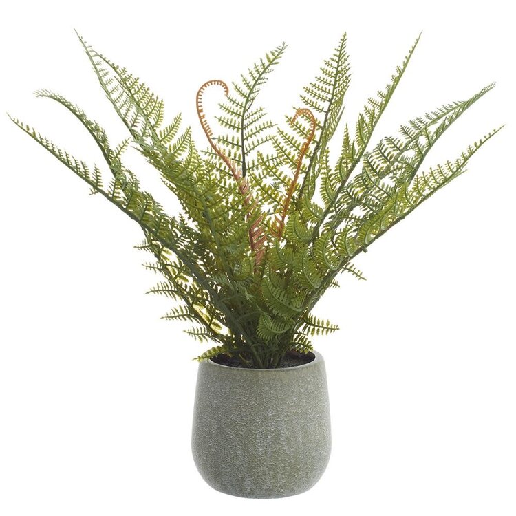 14" Soft PE Leather Fern in Plastic Pot
