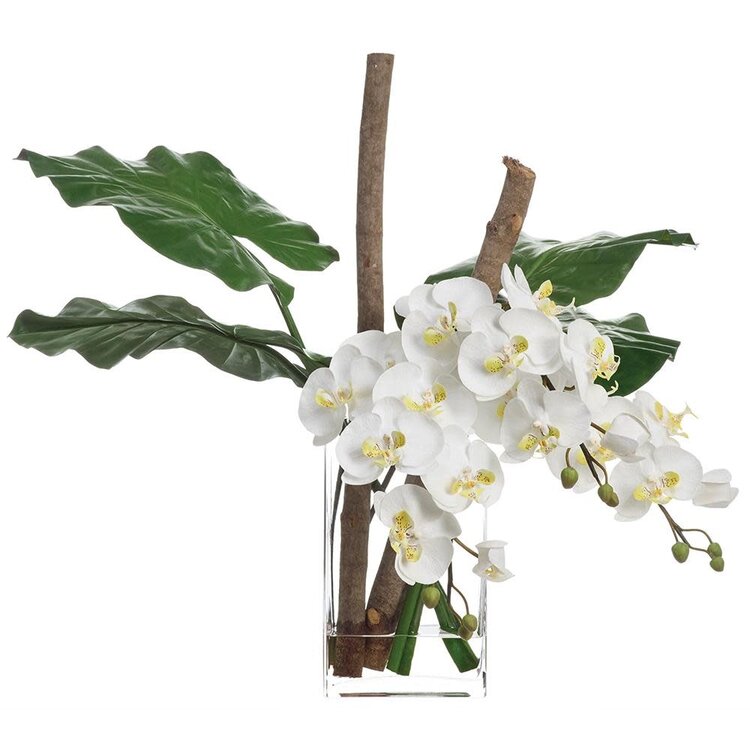 Phalaenopsis Arrangement in Glass Vase, White