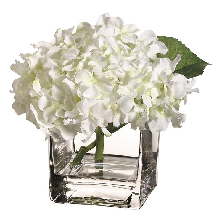 Hydrangea in Vase, White