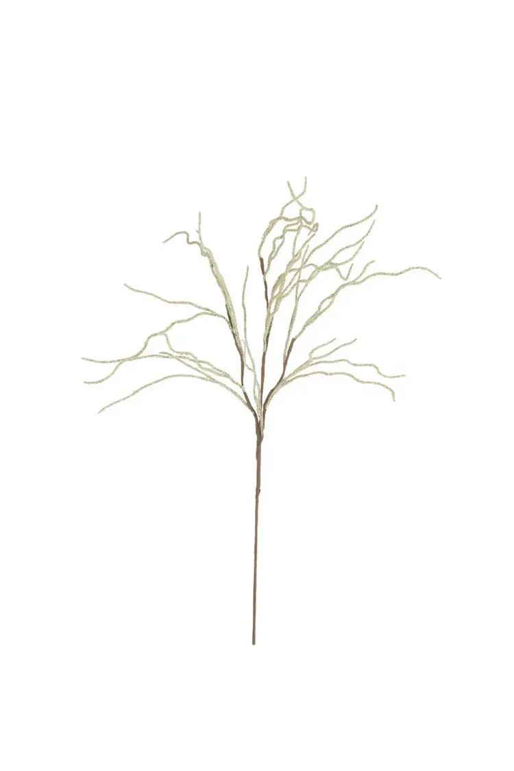 Botanica #9009