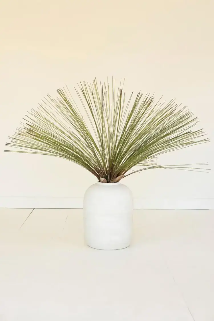 Botanica #3677