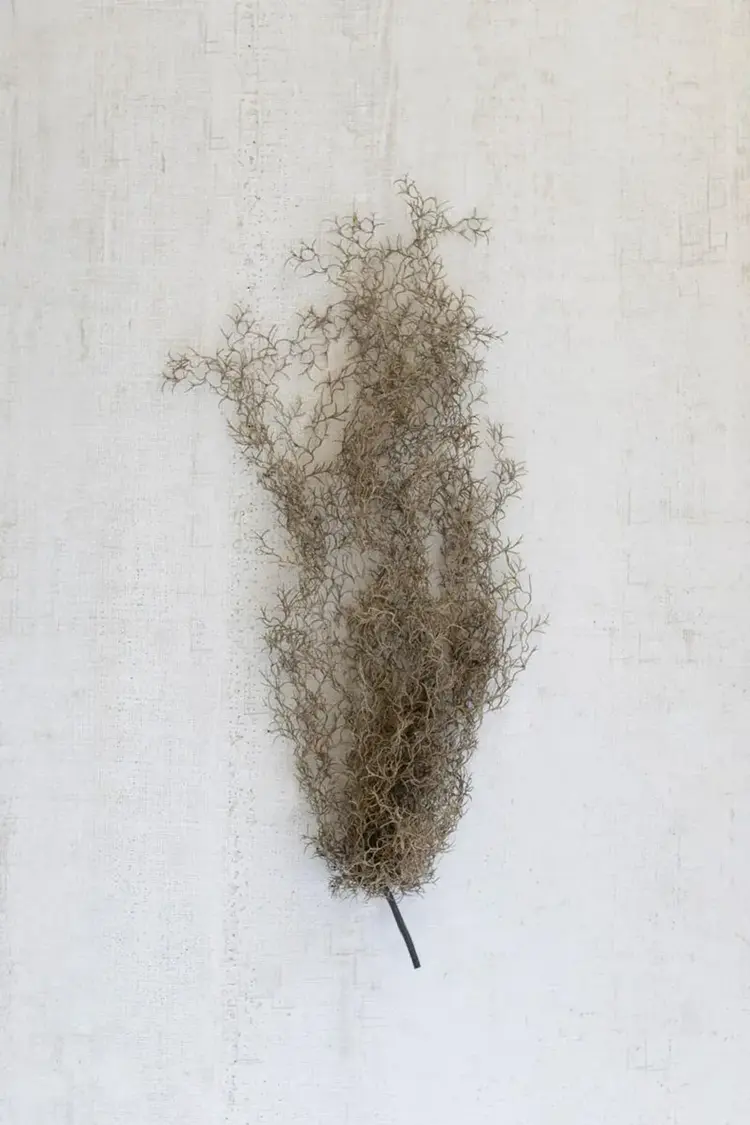 Artificial Grey Moss