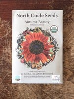 North Circle Seeds Autumn Beauty Seeds