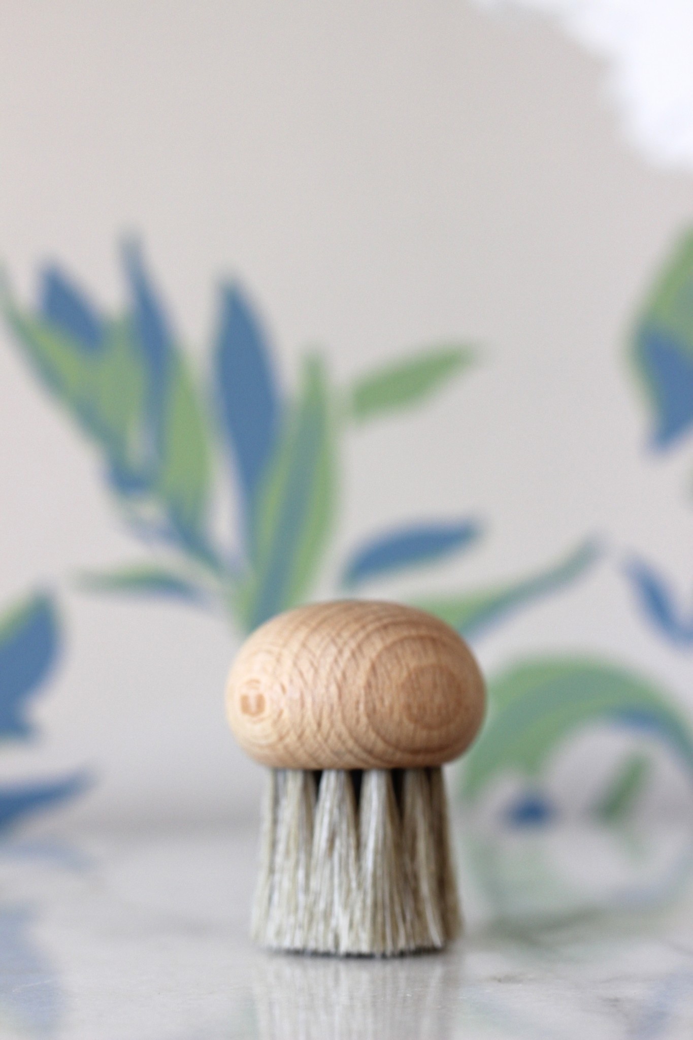 Mushroom Brush – The Seasoned Gourmet
