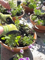 May 18 Herb Garden Container Workshop