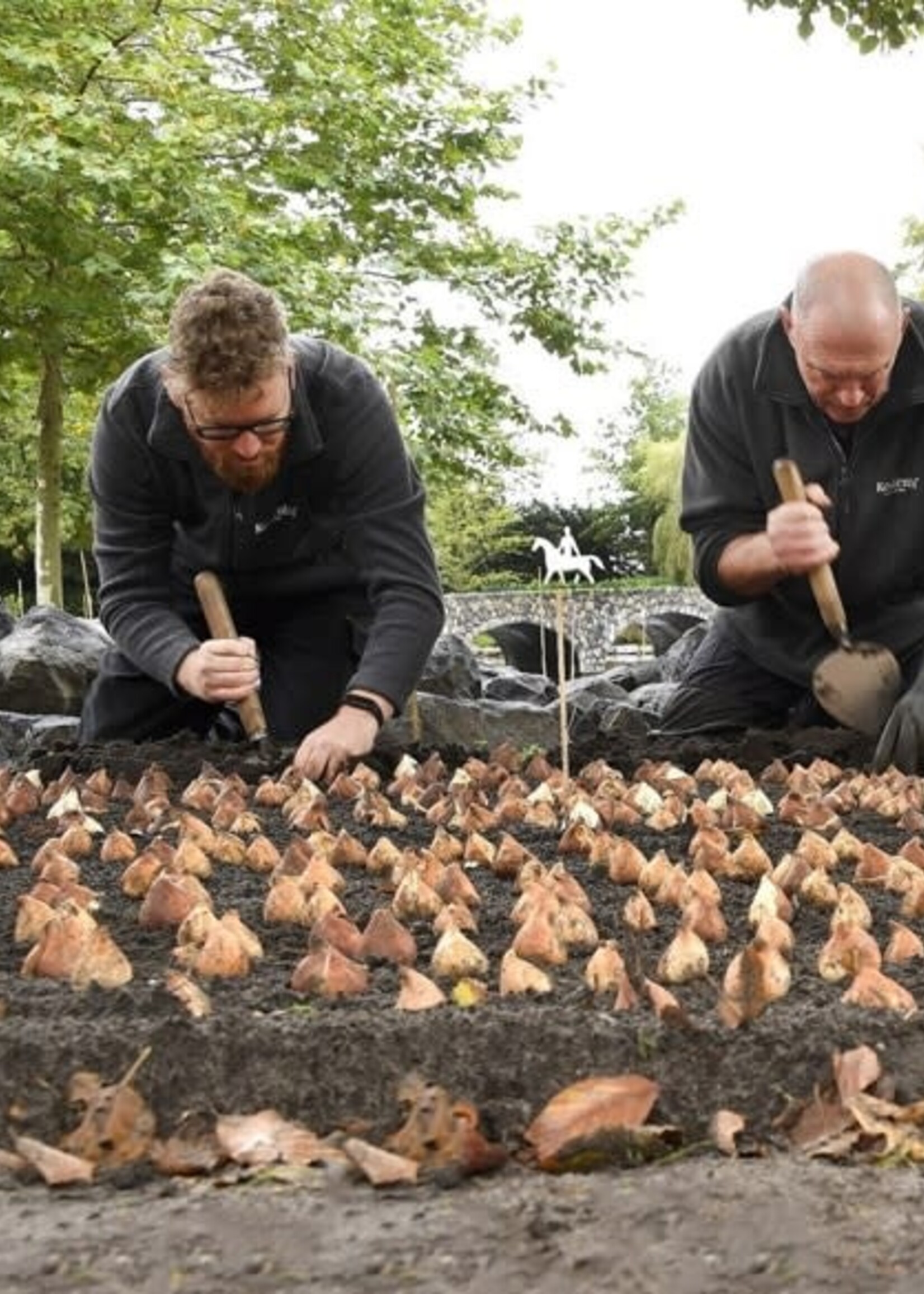 Sneeboer Planting Trowel Old Dutch Style