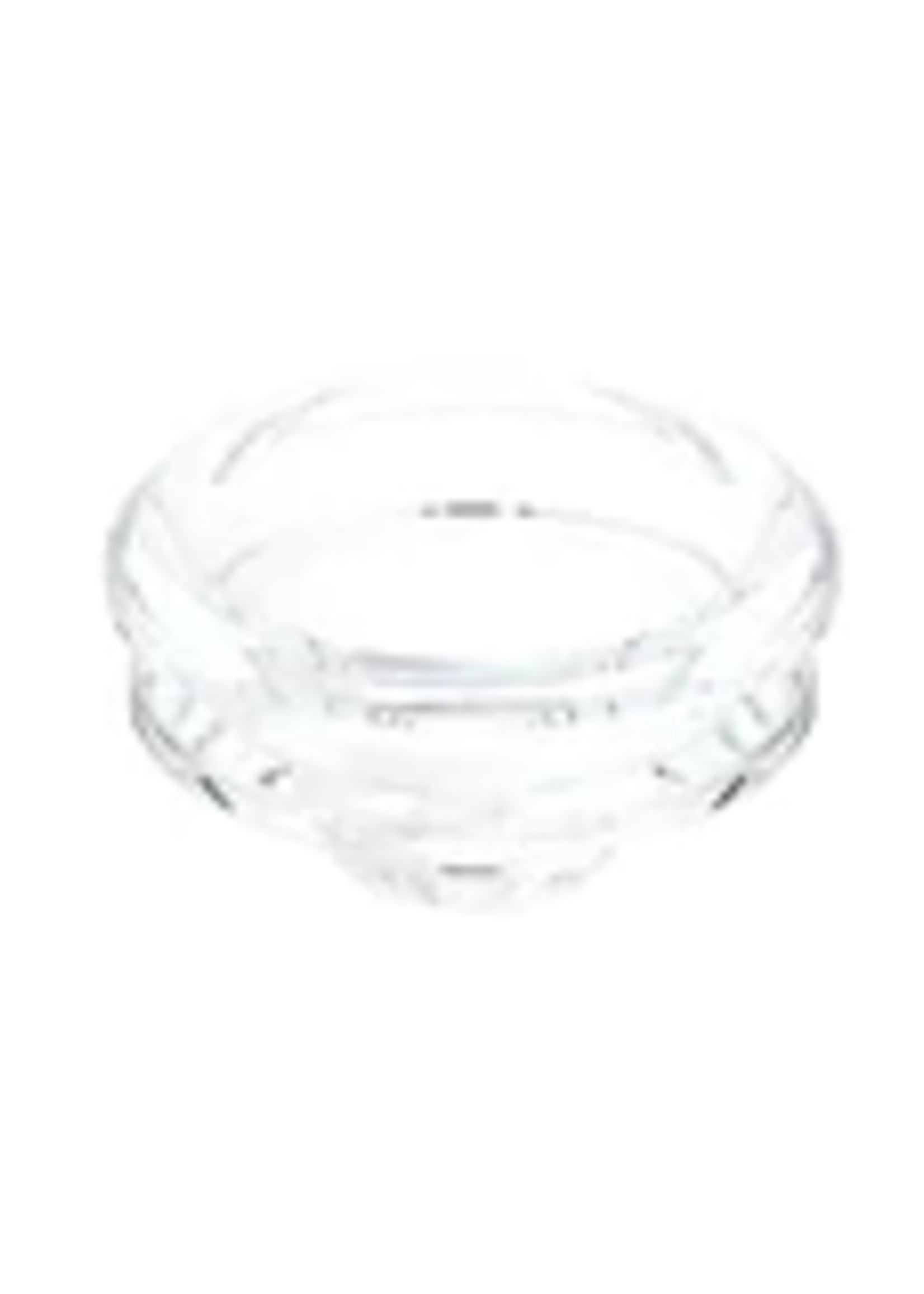 Eyce Eyce Borosilicate Spoon Glass Bowl