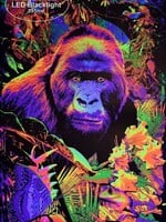 Studio B Studio B Gorilla Encounter Blacklight Poster 24"x36" B449