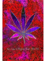No Law Higher Than Truth Poster 24"x36" P8510