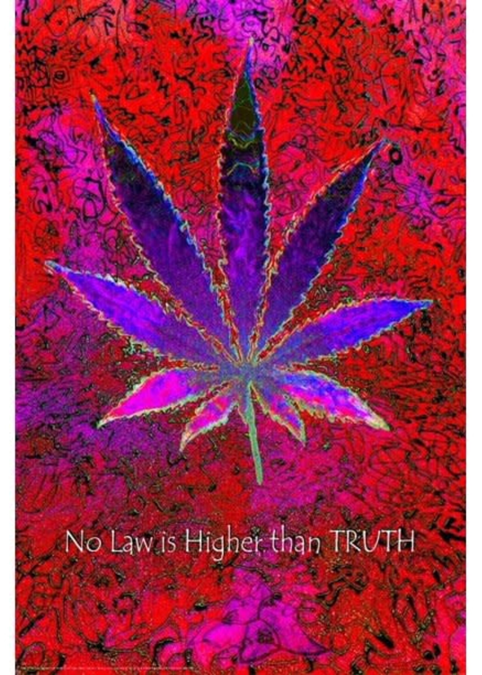No Law Higher Than Truth Poster 24"x36" P8510