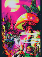 Magic Valley Blacklight Poster 24"x36" 1926/BLP1670