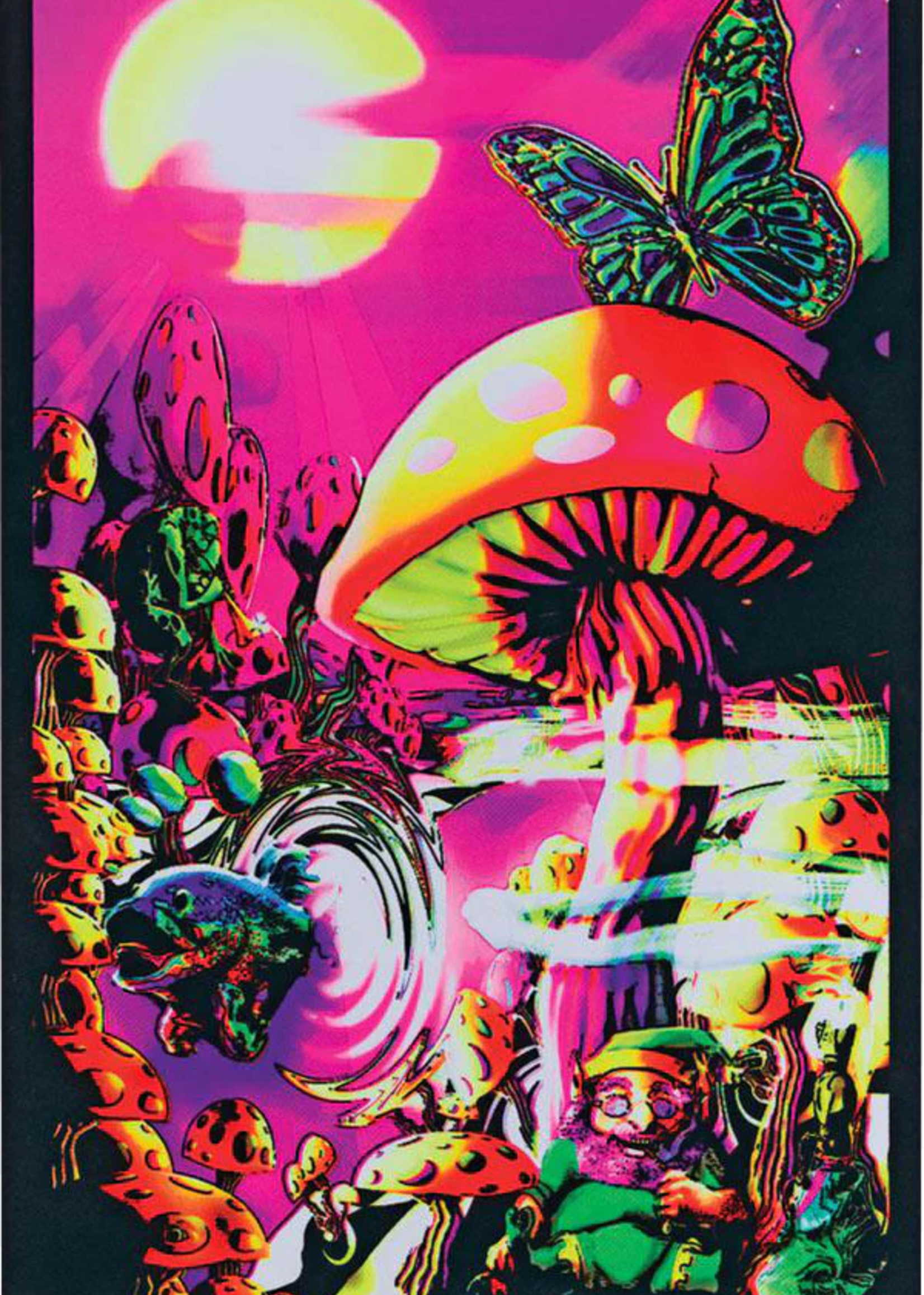Magic Valley Blacklight Poster 24"x36" 1926/BLP1670