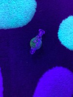 Wilbur & Keebler Wilbur & Keebler UV Bubble Carp Caps Assorted Colors