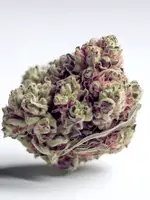 Mellow Fellow Twenty One Flower THCa Exotic Tropicana