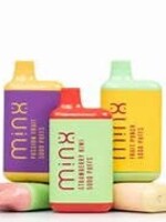 Minx Minx Disposable 5000 Puffs Grape Ice