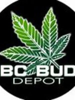 BCBD BCBD 3 King Strain Autoflower 5pk BC Bud Depot