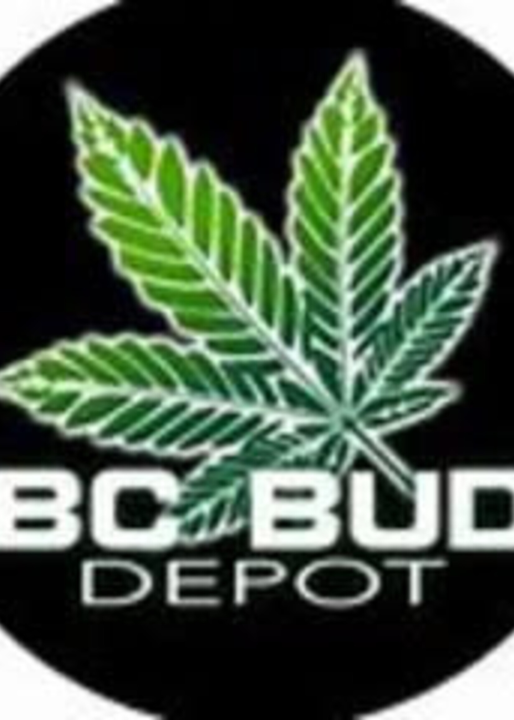 BCBD BCBD 3 King Strain Autoflower 5pk BC Bud Depot