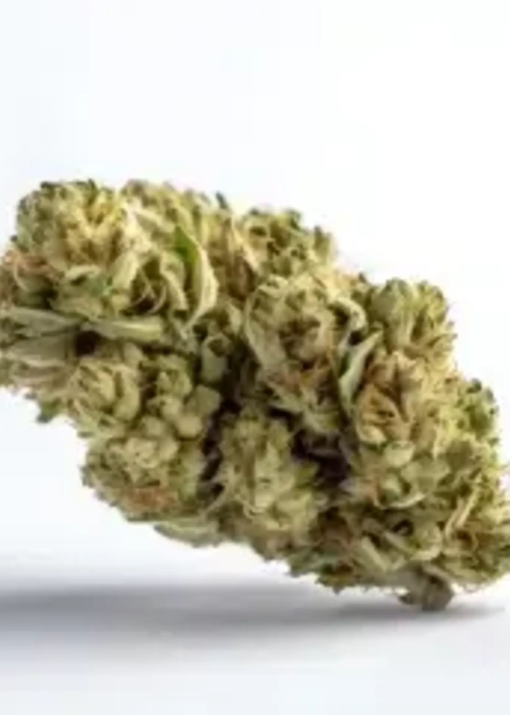 Twenty One Twenty One Cannabis Dealers Choice Flower