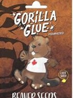 Beaver Seeds Beaver Seeds 5 Feminized Seeds Gorilla Glue