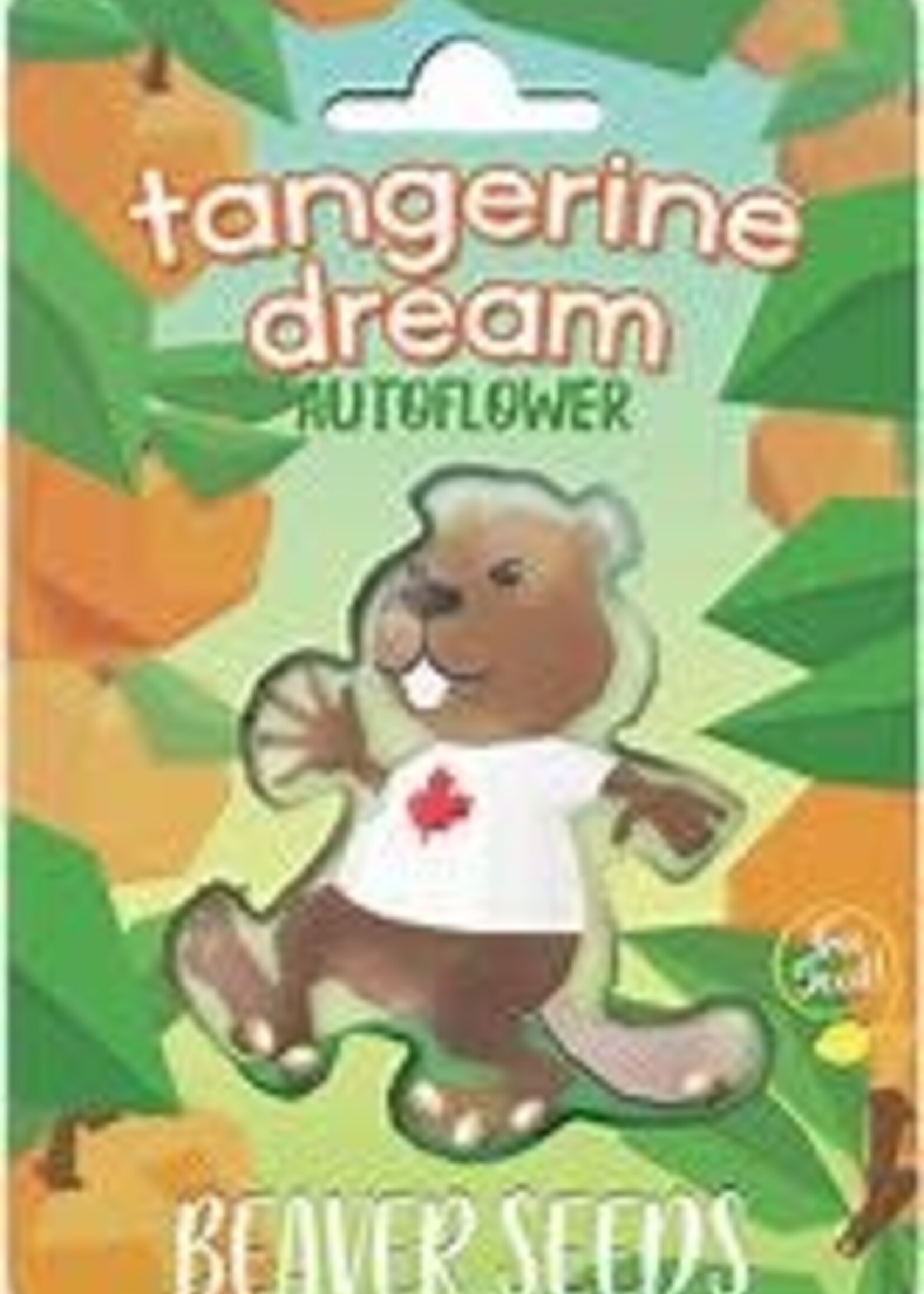 Beaver Seeds Beaver Seeds 5 Autoflower Seeds Tangerine Dream