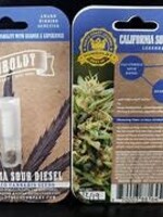 Humboldt Seed Co. Humboldt Seed Co. 5pk Feminized California Sour Diesel