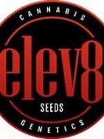 Elev8 Seeds Elev8 Seeds 6pk Feminized Runtz of Eden