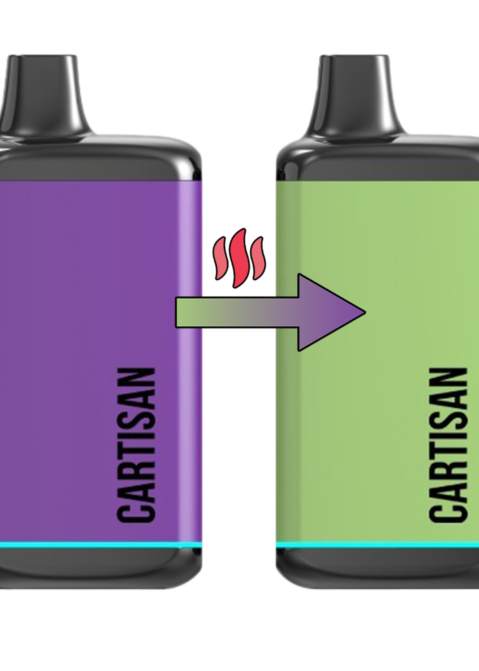 Cartisan Cartisan Veil Bar Purple/Green