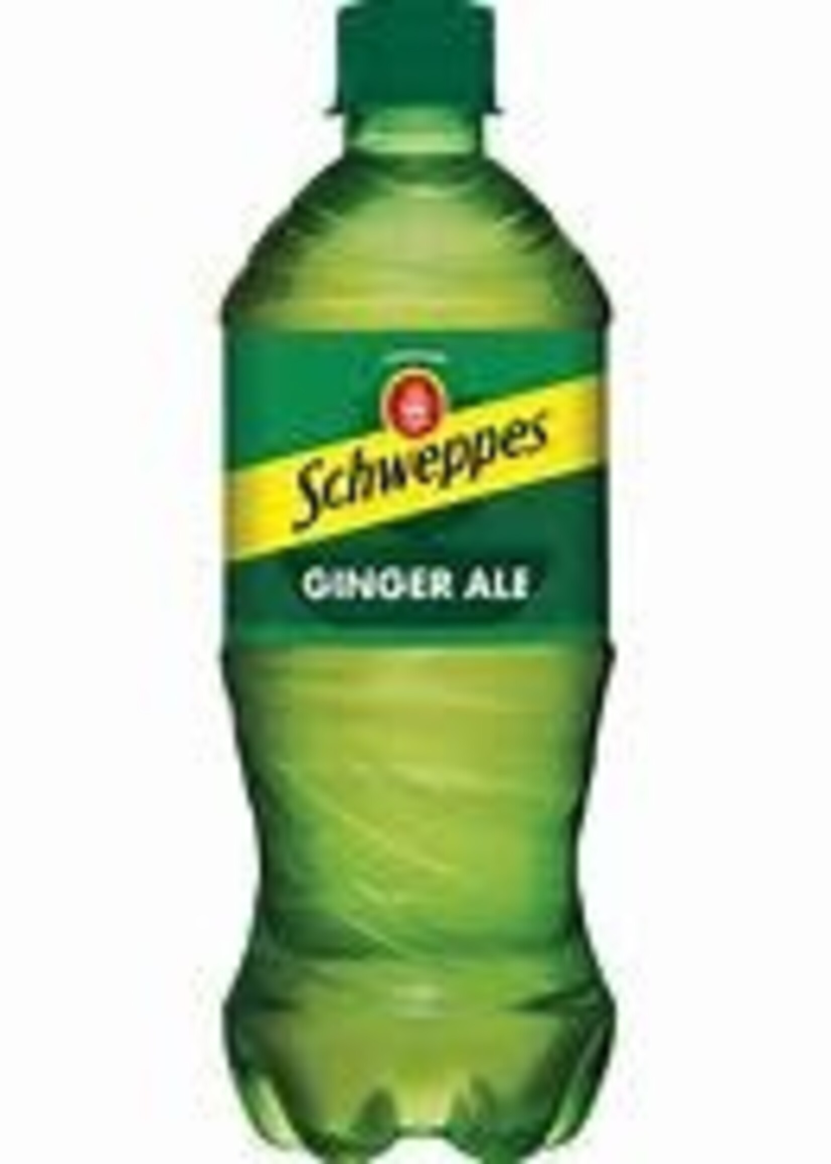 Schweppes Schweppes Ginger Ale 20fl oz