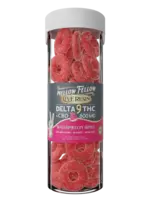Mellow Fellow Mellow Fellow Live Resin Delta 9 + CBD 800mg 40mg Per Piece Watermelon Rings
