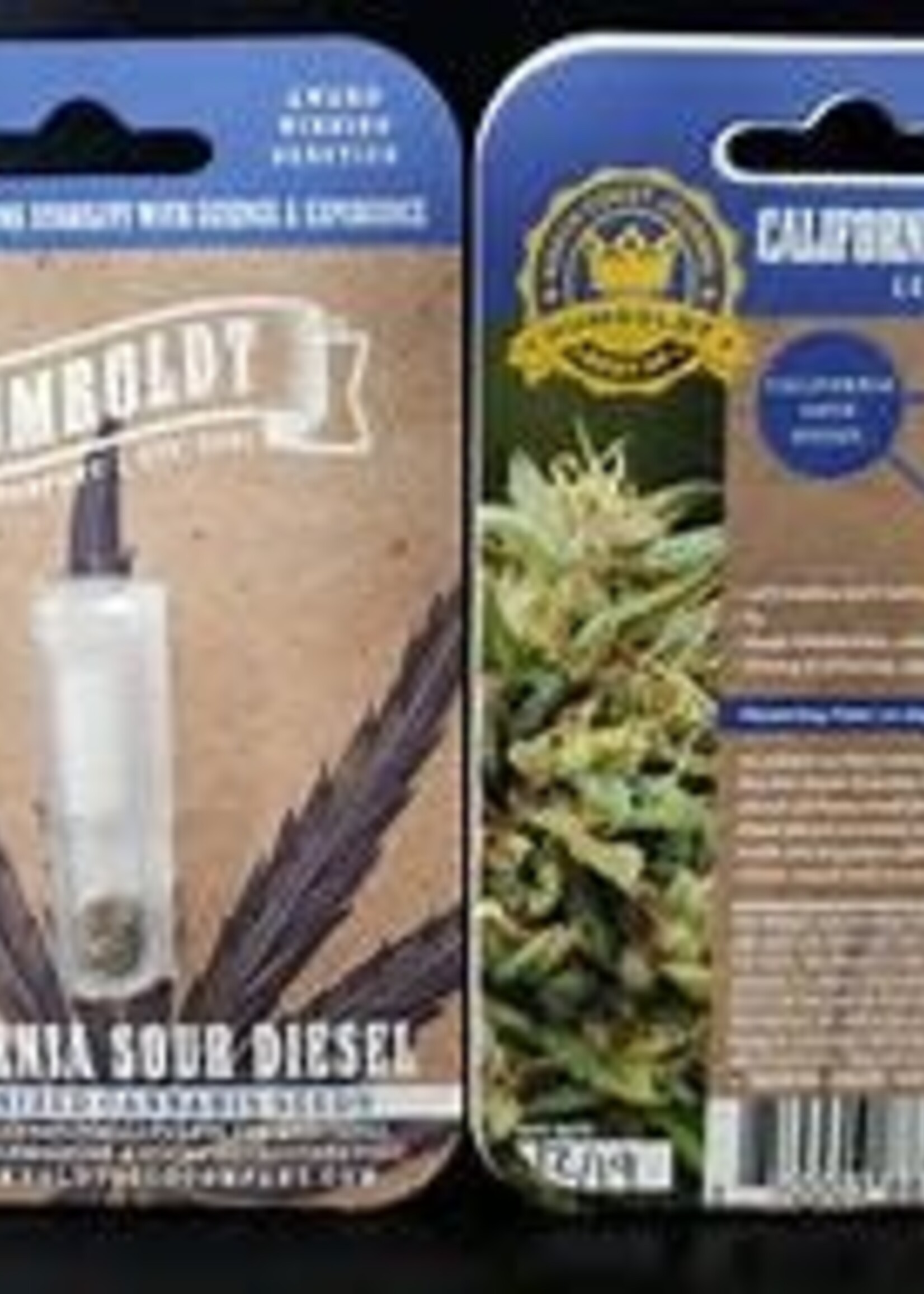 Humboldt Seed Co. Humboldt Seed Co. 5pk Feminized California Sour Diesel
