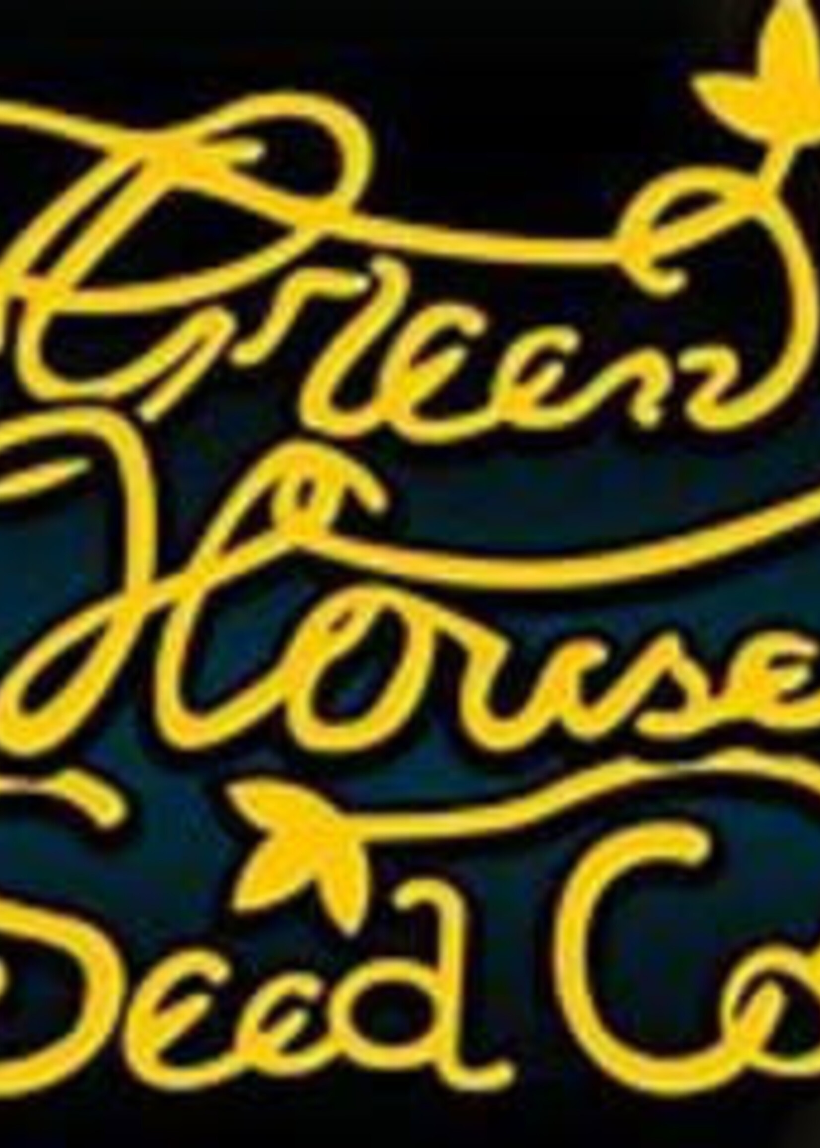 Green House Seed Co. Green House Seed Co Arjan's Haze #1 Feminized Seeds
