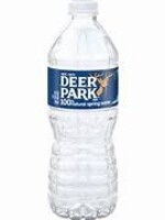 Deer Park Deer Park Water 16.9 oz