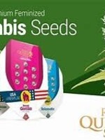 Royal Queen Seeds Royal Queen Seeds 3pk Autoflowering Royal Runtz Automatic